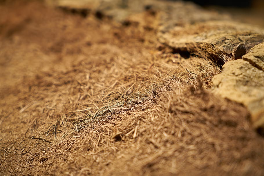yellow, hay, abstract, texture, pattern, close, background HD wallpaper