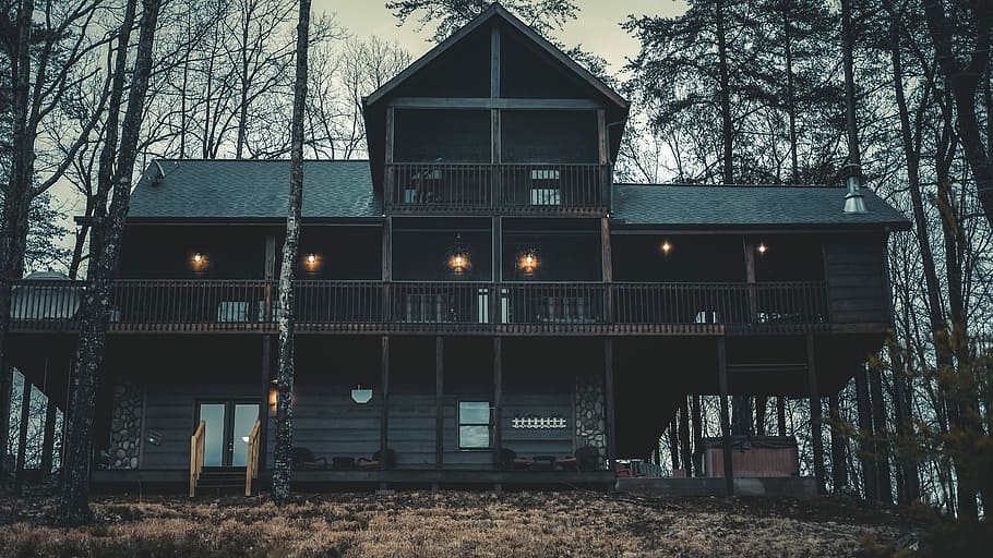 landscape photography of cabin, low angle view of brown wooden house surround trees HD wallpaper