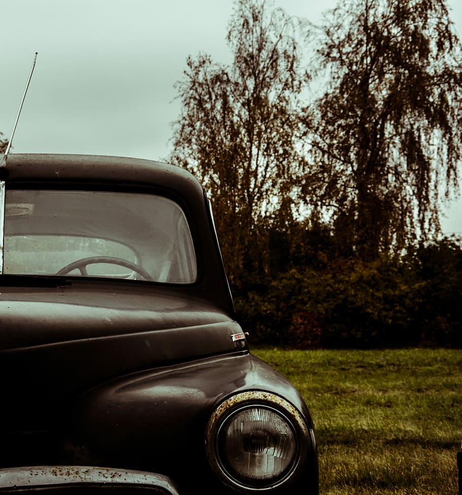 vintage car on grass field, close up photography of black truck during daytime HD wallpaper
