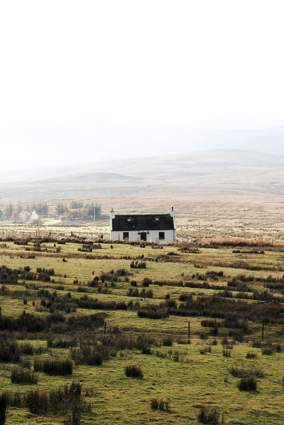 whit and black house in the middle of wide open landscape, green grass field near black and white house under gray sky