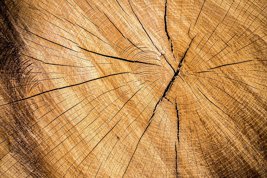 closeup photo of brown wood log, wooded, board, wood - Material