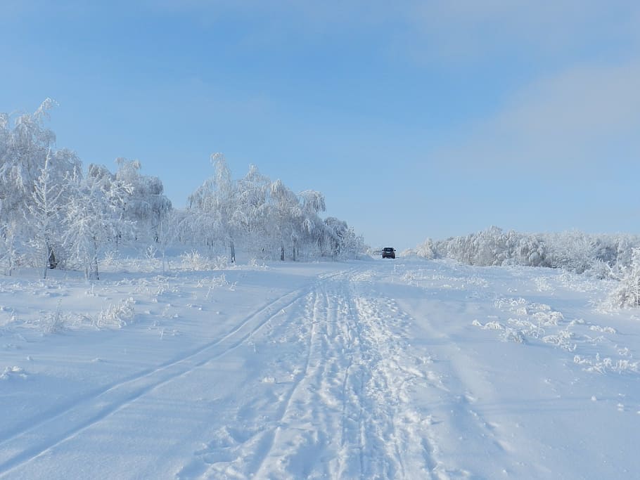 road, snow, landscape, wilderness, scenery, natural, outdoor HD wallpaper