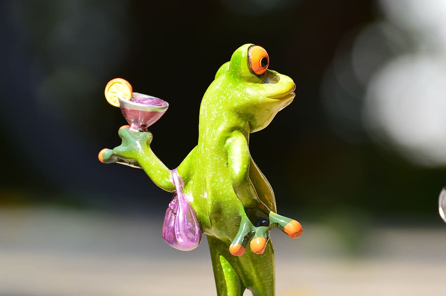 frog, chick, lady, arrogant, cocktail, funny, animal, amphibian HD wallpaper