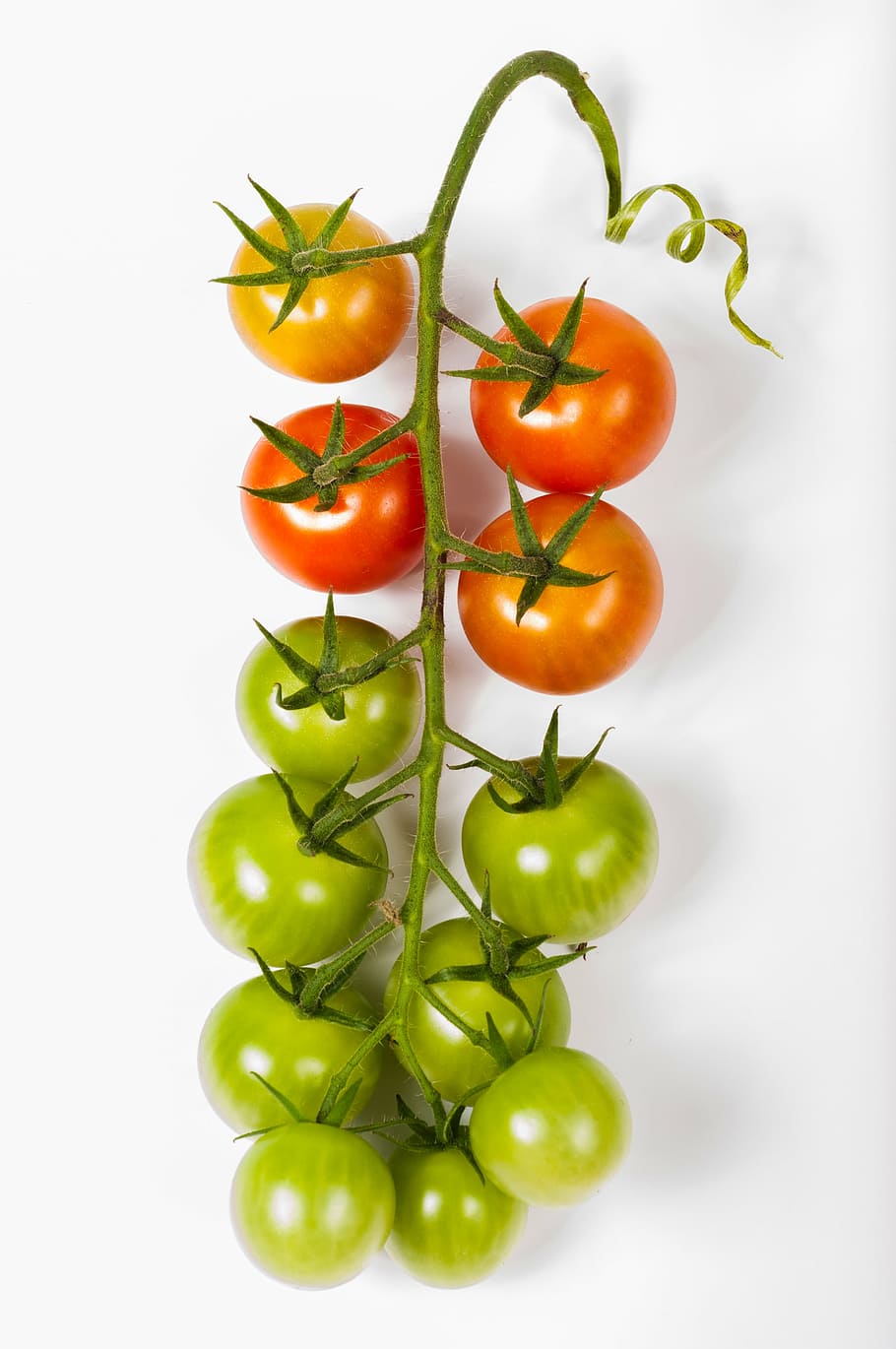 red and green tomatoes, cherry, bunch, isolated, food, white HD wallpaper