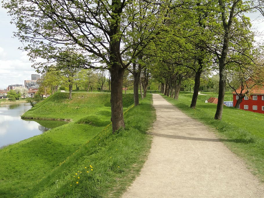 copenhagen, denmark, path, trees, grass, river, water, sidewalk HD wallpaper