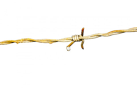 brown barb wire illustration, barbed wire, iron, skewer, rust HD wallpaper