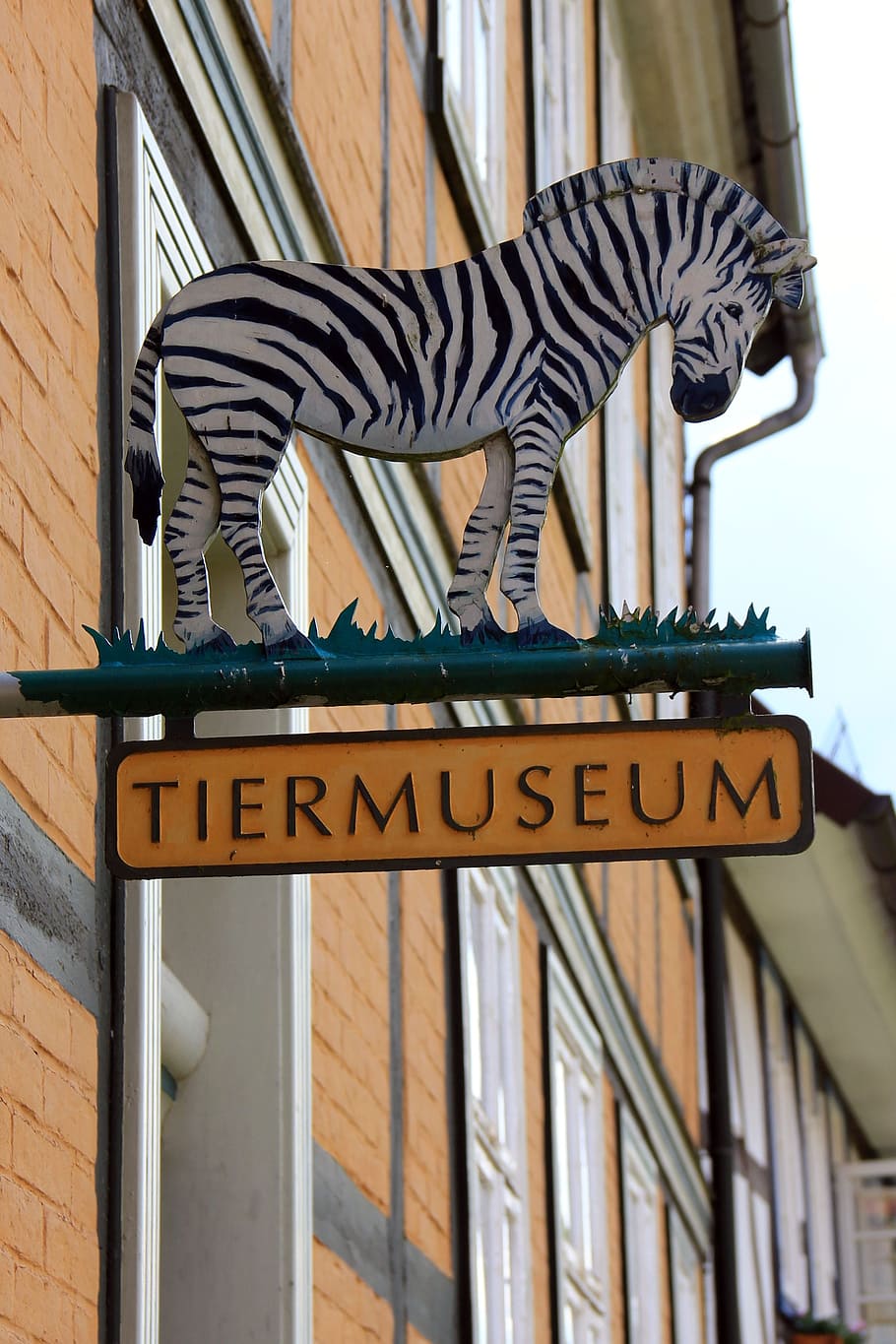shield, info, museum, animals, zebra, alfeld, communication HD wallpaper