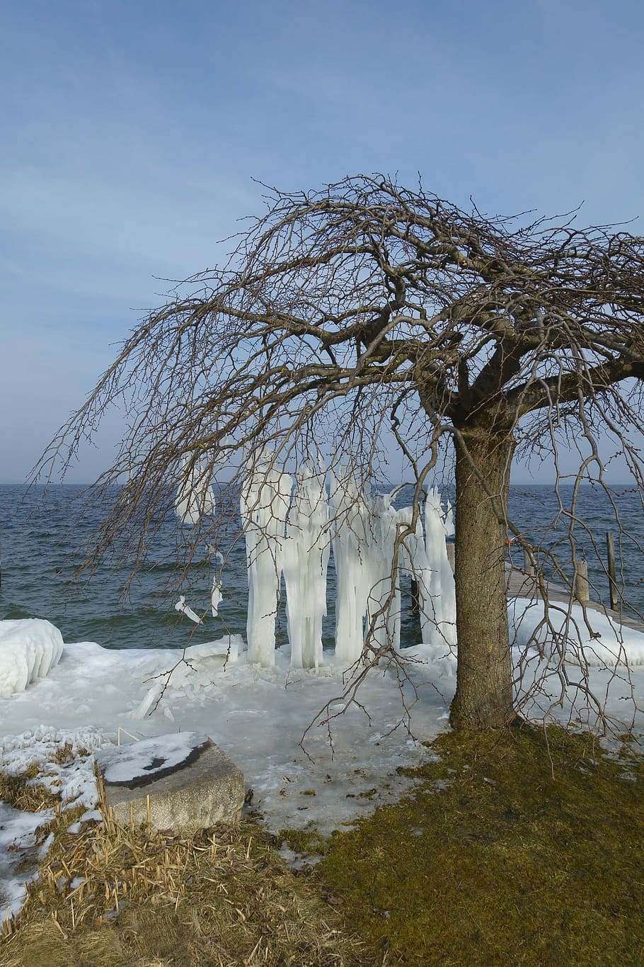 winter, snow, nature, tree, cold, frozen, lake, frost, ice HD wallpaper