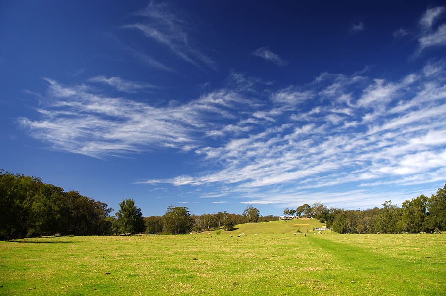 blue sky, clouds, nature, day, weather, summer, cloudscape HD wallpaper