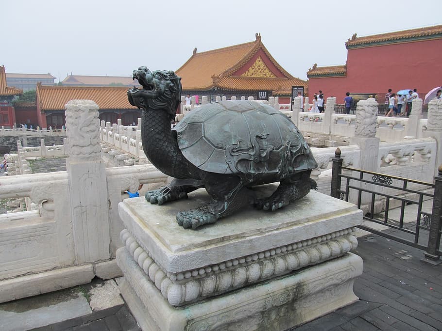 turtle, dragon, statue, temple guardian, art, china, sculpture HD wallpaper