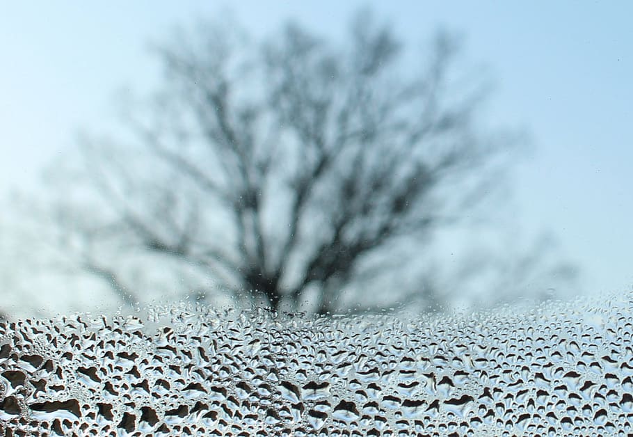water dew on glass, pane, window, view, winter, january, bare trees HD wallpaper