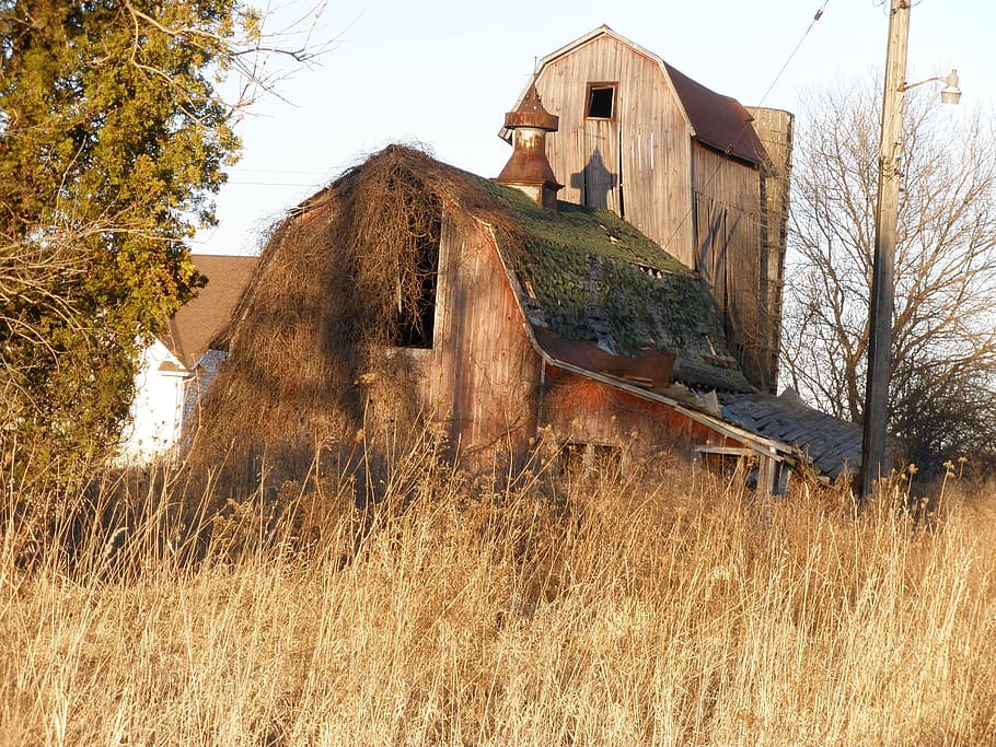 Barn, Old, Dilapidated, Rustic, weathered, abandoned, wood HD wallpaper