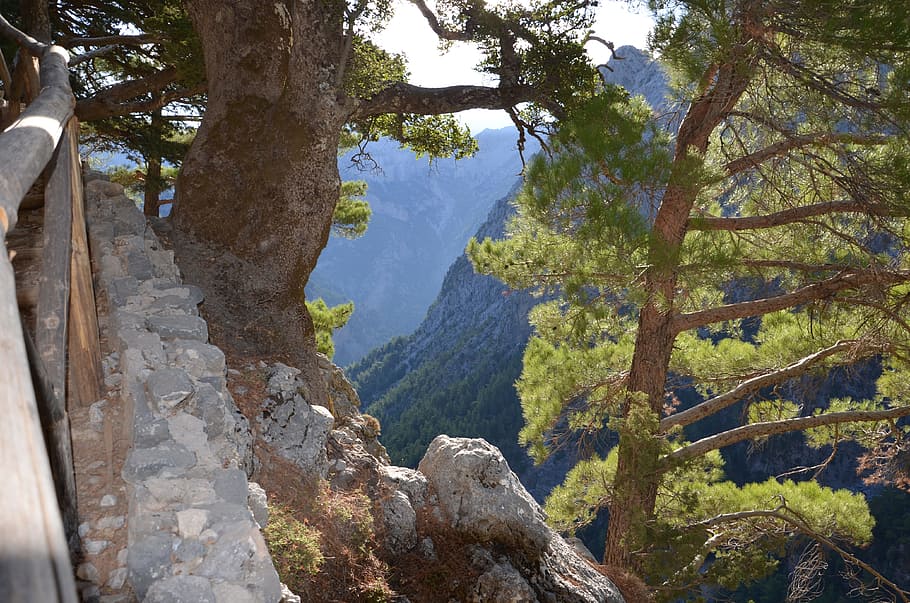 crete, samaria, dangerous, tree, plant, tranquility, beauty in nature HD wallpaper