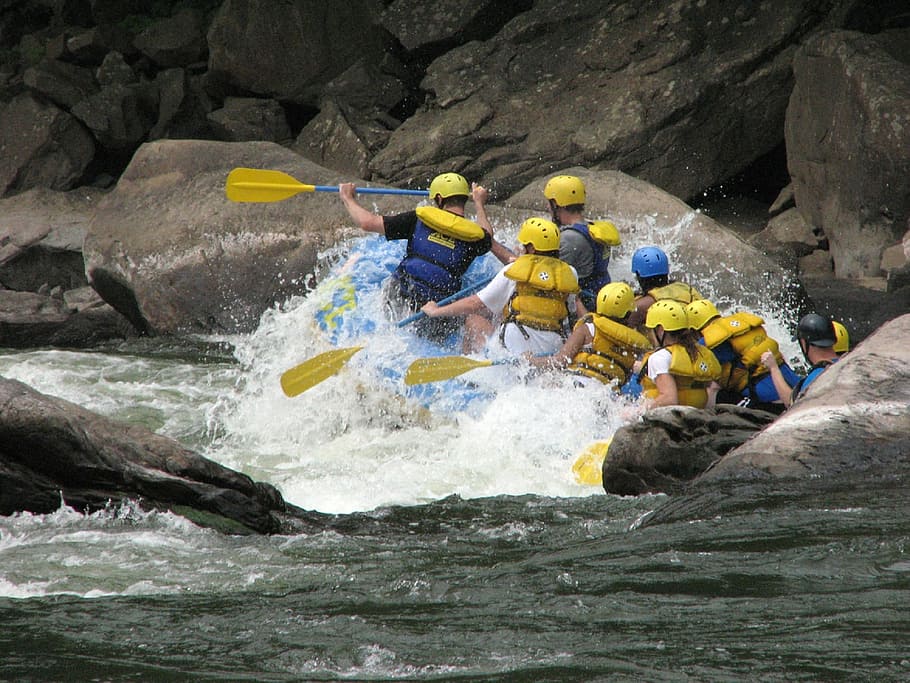 people doing water rafting, rapids, river, sport, landscape, whitewater