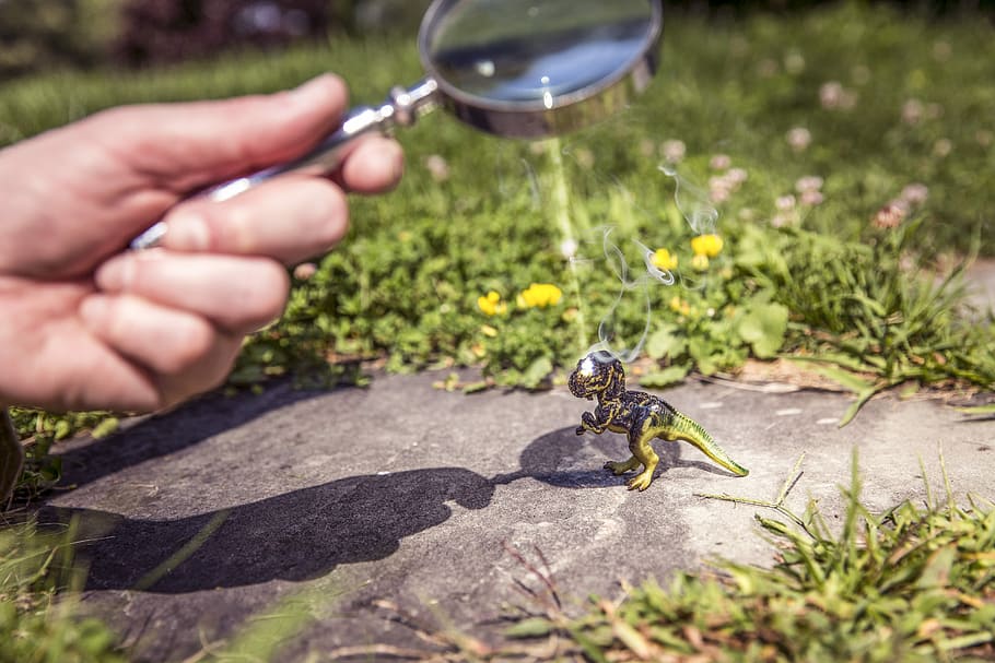 person holding magnifying glass, whimsical, objects, lazy, dinosaur, HD wallpaper