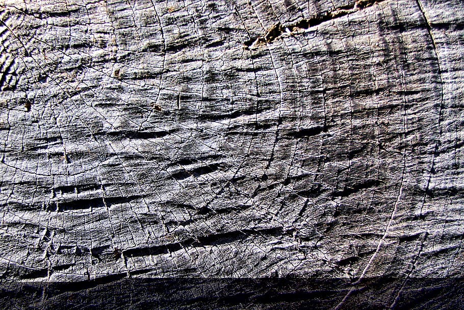 background, pattern, texture, textiles, rau, wood, grain, grey HD wallpaper