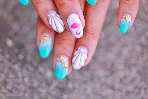 woman with pink and blue nail arts, multi Colored, human Hand HD wallpaper