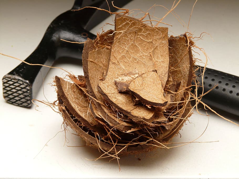Coconut, Shell, Hammer, coconut shell, open, empty, remains.