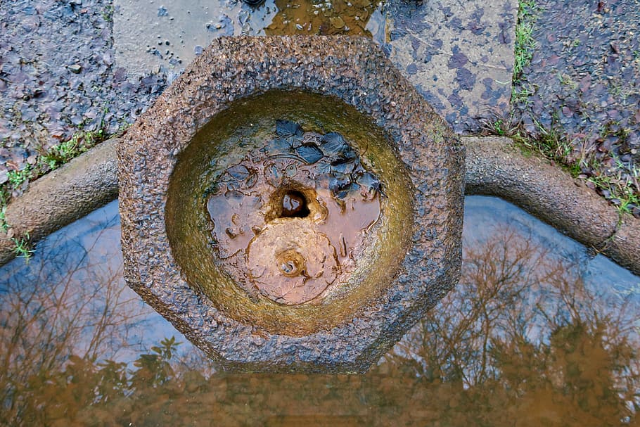 water, pierre, geometry, no people, plant, day, tree, nature HD wallpaper