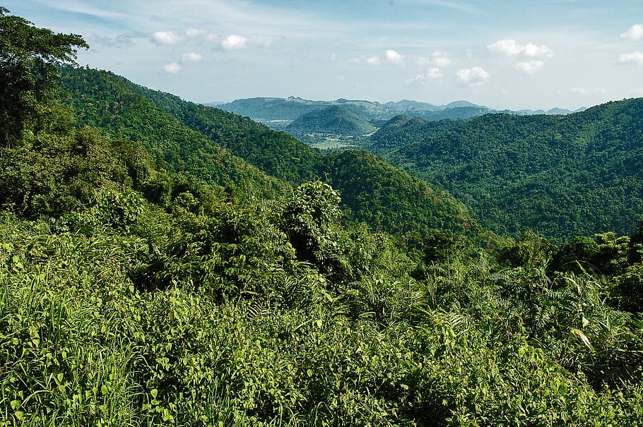 landscape, mountains, khao yai, thailand, tree, plant, beauty in nature