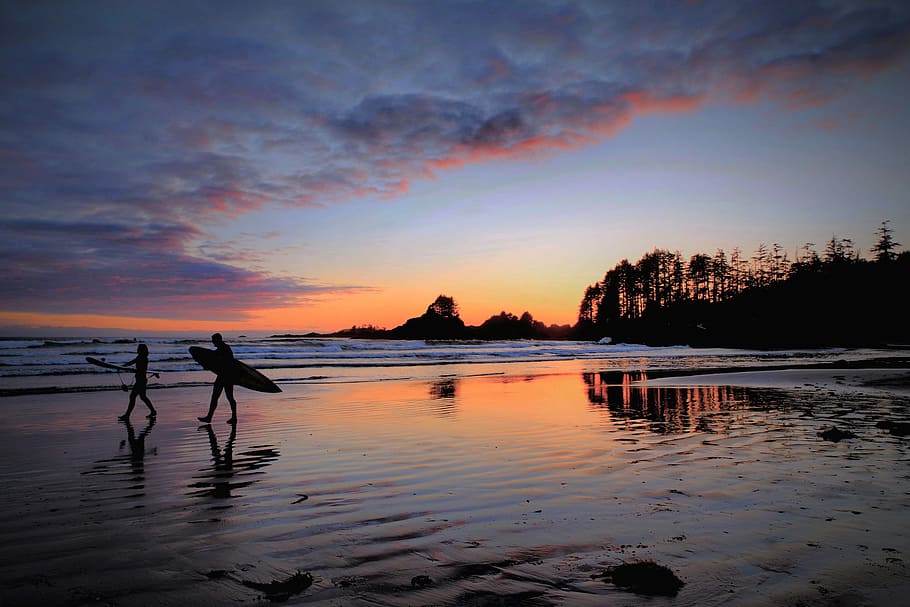 person carrying surf board, surfer walking on seashore, sunset HD wallpaper