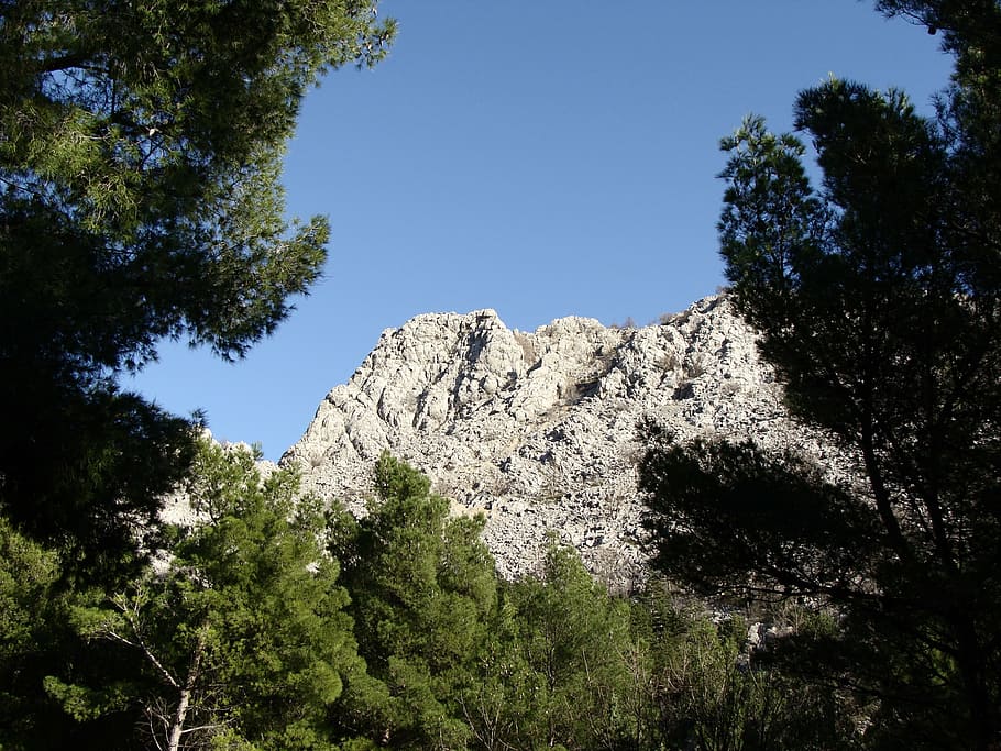 mountain, view, peak, pine tree, sky, sunny, cold, nature, landscape HD wallpaper
