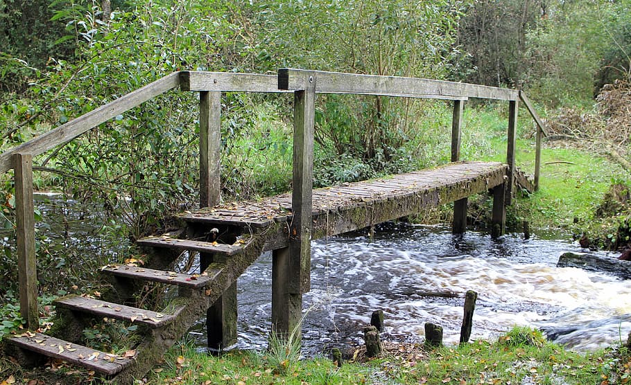 transition, web, bridge, boardwalk, wooden bridge, waters, bach HD wallpaper
