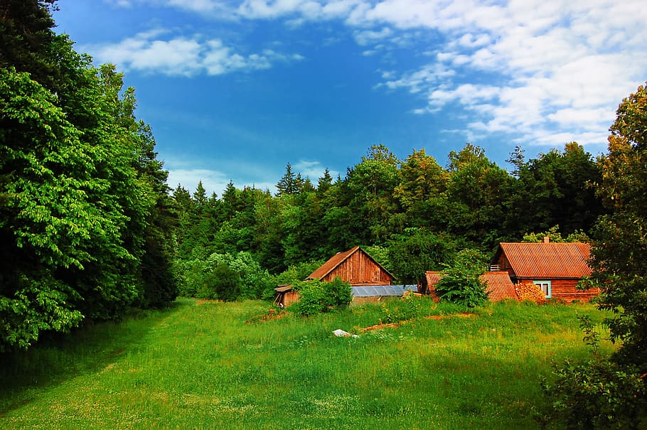 brown barn in middle of tress, village, summer, green, tourism, HD wallpaper