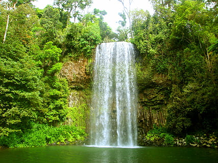 landscape photography of waterfall between green trees, river HD wallpaper