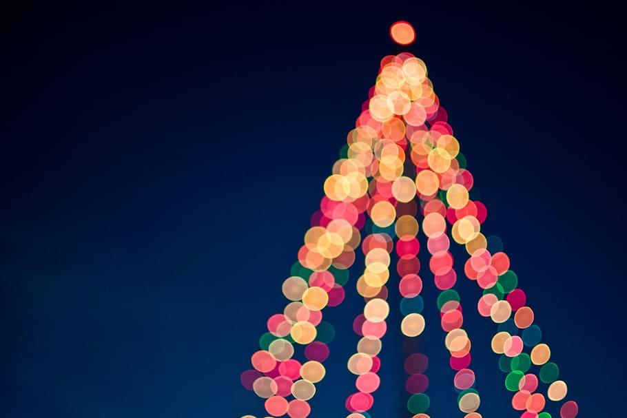 assorted-color string lights, pre, lit, tree, christmas, dark HD wallpaper