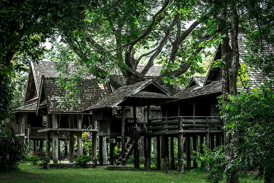 brown wooden house beside trees, ruan north, architecture, thailand