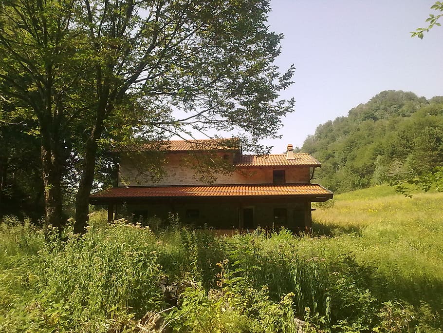refuge, mountain, forest, hiking, friuli venezia giulia, holiday HD wallpaper