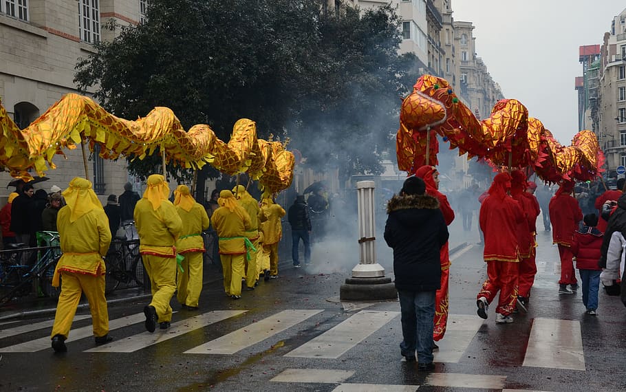 group of people carrying dancing dragon, paris, france, chinese new year