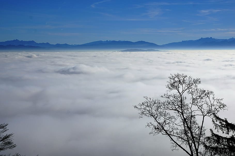 fog, sky, nature, trees, winter, autumn, mood, landscape, sun HD wallpaper