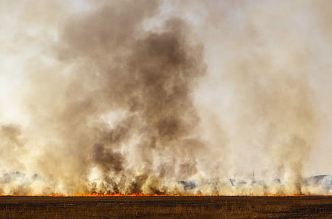 forest fire during daytime, burning ground, smoke, field, grass HD wallpaper