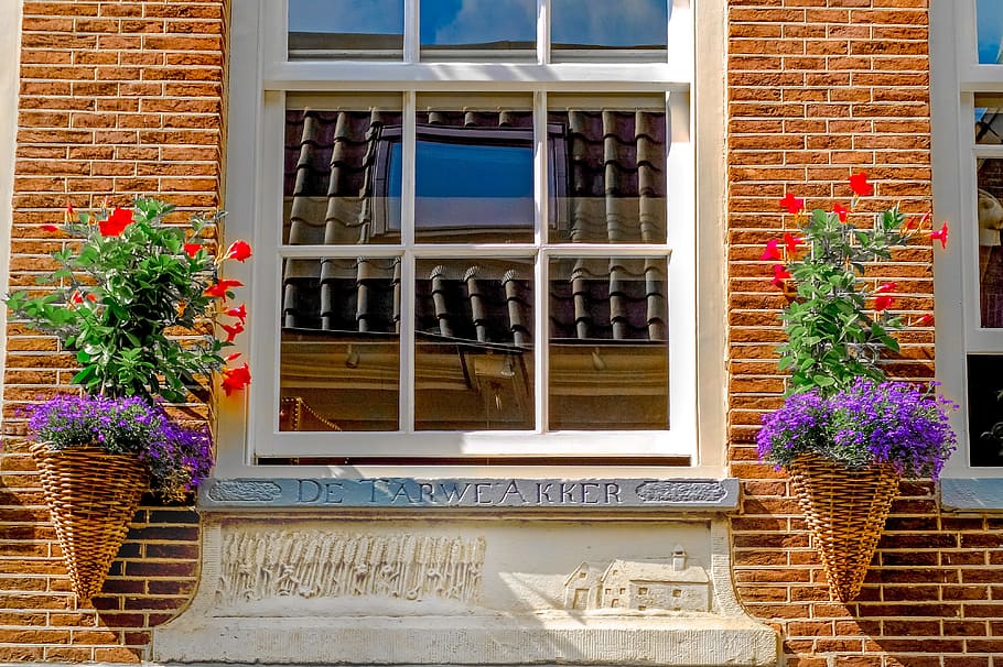 window, flowers, wall, brick, amsterdam, jordaan, netherlands HD wallpaper