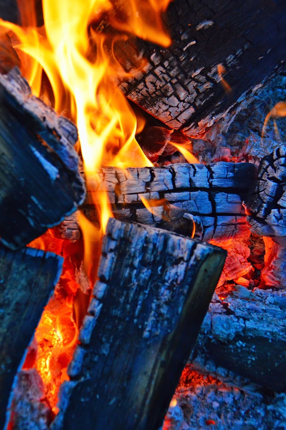 fire, campfire, flames, wood, brand, burns, at night, burning HD wallpaper
