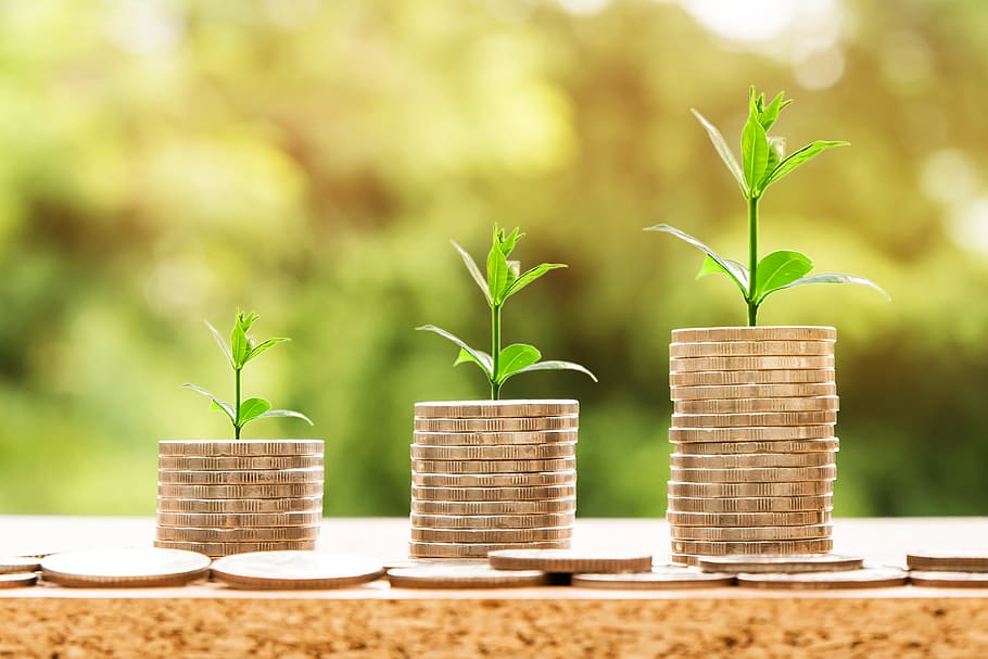 three green plants, money, coins, finance, currency, business, HD wallpaper
