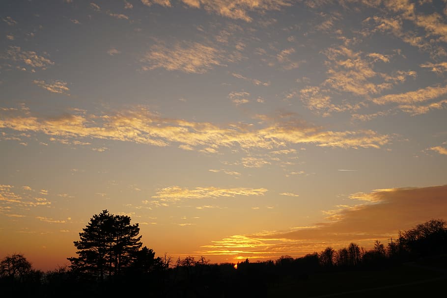 evening sky, sunset, abendstimmung, tree, plant, silhouette HD wallpaper