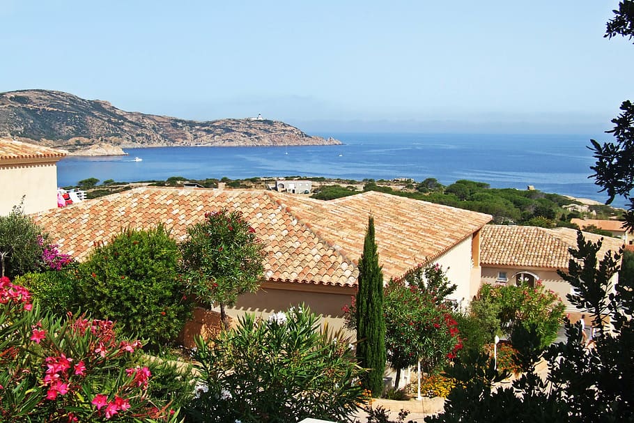 house, roof, holiday, corsica, sea, bay, landscape, view, water