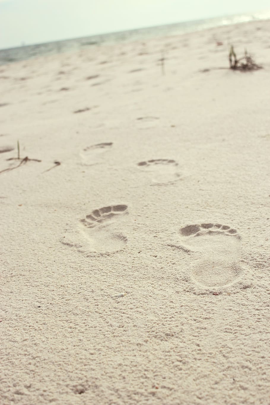 sand with footprints, beach, land, nature, day, tranquility HD wallpaper
