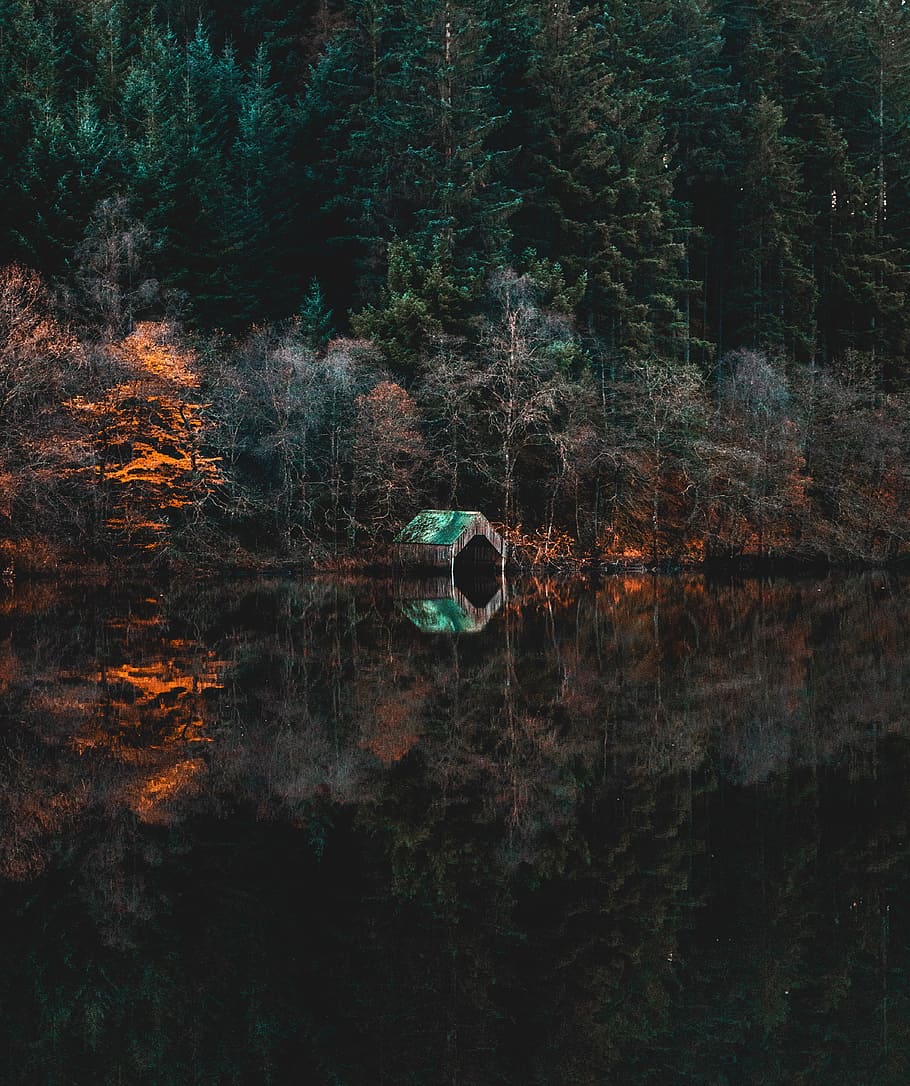 green and brown shed beside body of water photo, green woods with reflections on body of water HD wallpaper