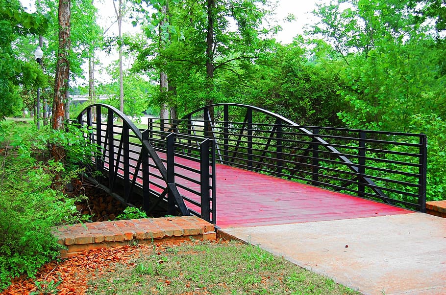 bridge, park, scenery, landscape, scenic, nature, tree, wood - Material HD wallpaper