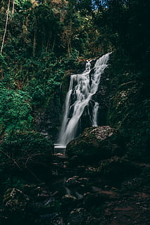waterfalls in the middle of forest, photography of waterfall surround trees HD wallpaper