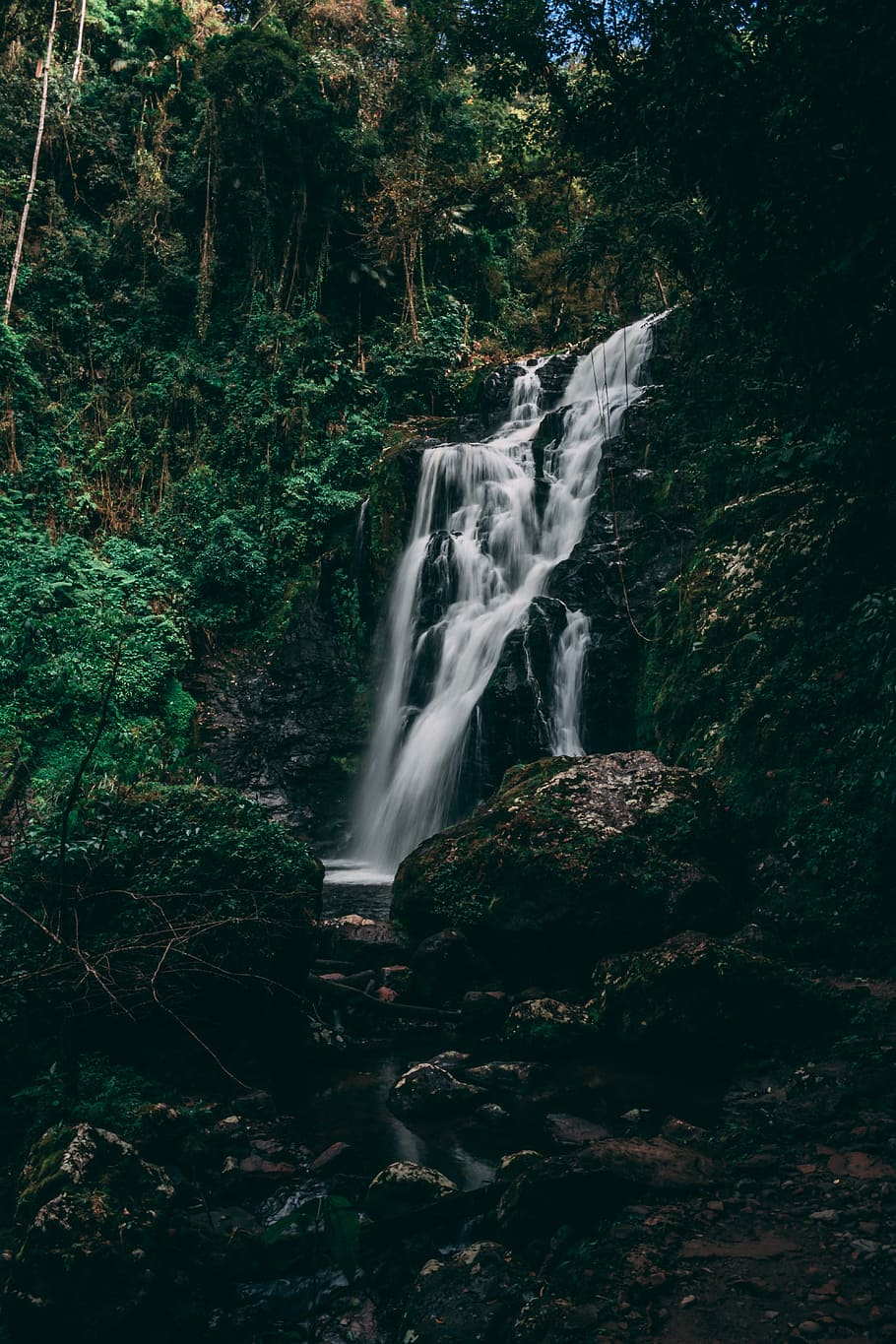 waterfalls in the middle of forest, photography of waterfall surround trees HD wallpaper