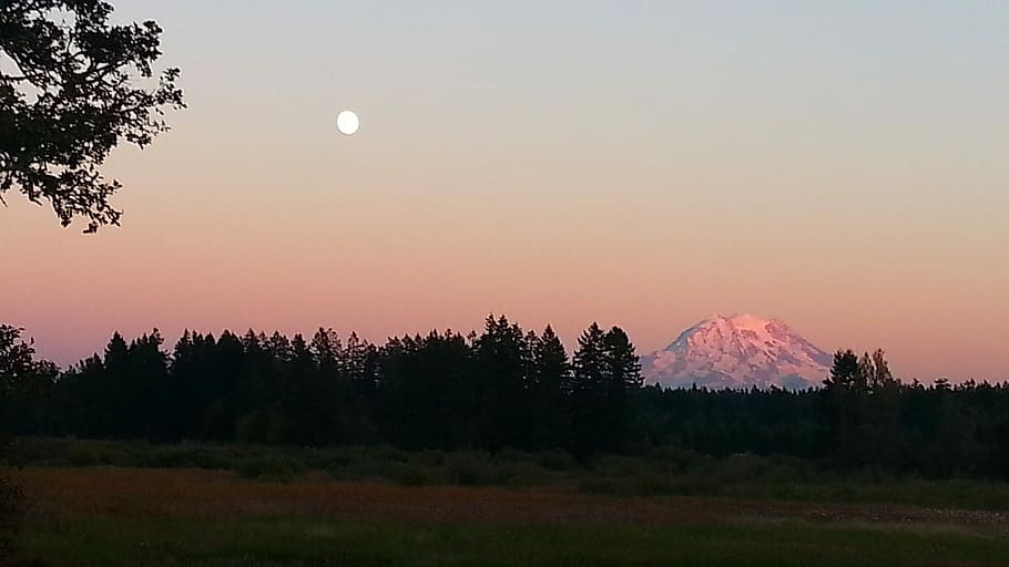 Mount Rainier, Full Moon, Moon, Trees, Sunset, mountain, grass HD wallpaper