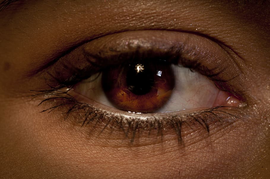 person's eye, Eyeball, Close Up, Vision, Eyesight, human, white, HD wallpaper