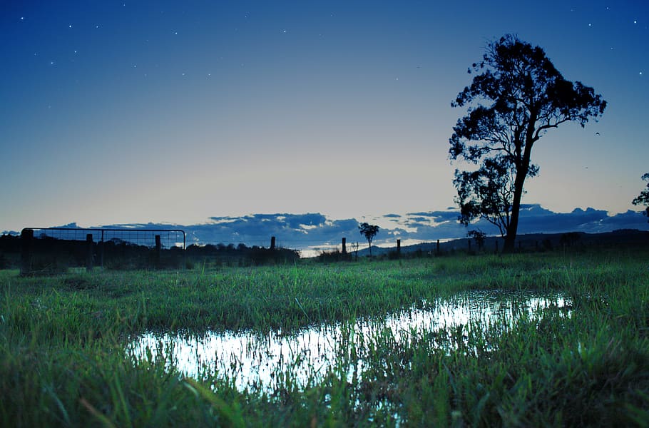 sunset, dusk, puddle, sky, plant, field, grass, landscape, scenics - nature HD wallpaper