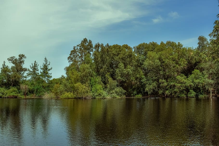 lake, trees, nature, landscape, forest, reflection, scenery HD wallpaper