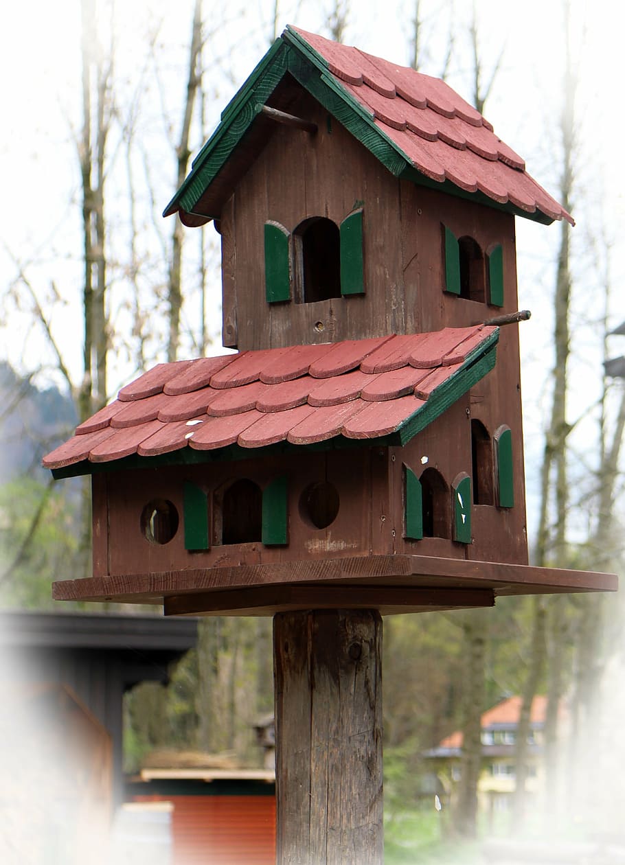 aviary, bird feeder, nesting place, animal welfare, birdhouse, HD wallpaper